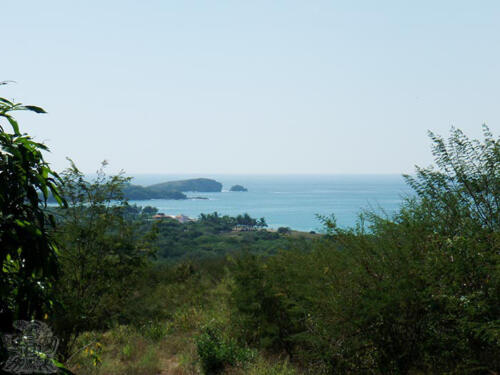 Chamela, Jalisco, 2008