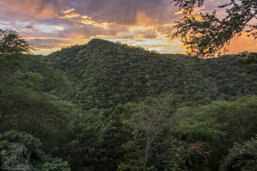 Cosalá y Ceuta, Sinaloa, 2014